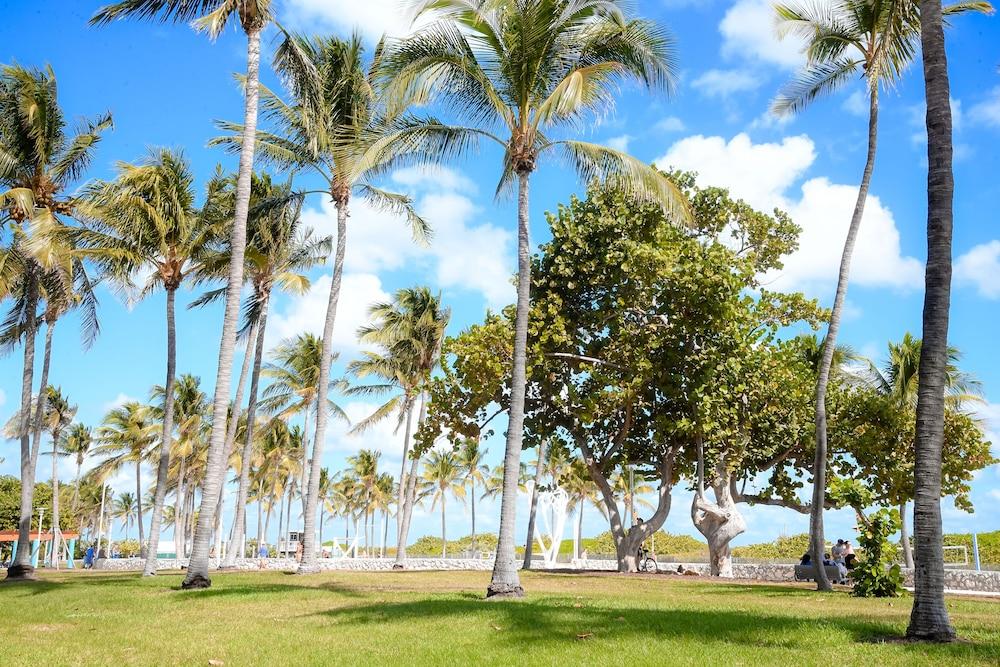 Ithaca Aparthotel Miami Beach Ngoại thất bức ảnh